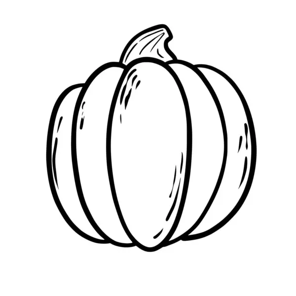 Doodle 手绘矢量图解在现代风格 过节的南瓜 秋天蔬菜 矢量说明 — 图库矢量图片