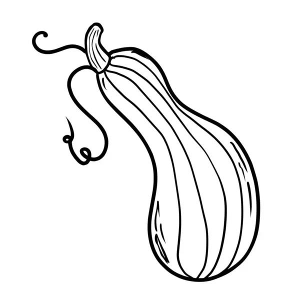 パンプキン ドードル ハンドデッサン 現代的なスタイルのベクトルイラスト お祝い カボチャ 秋の野菜について ベクトルイラスト — ストックベクタ