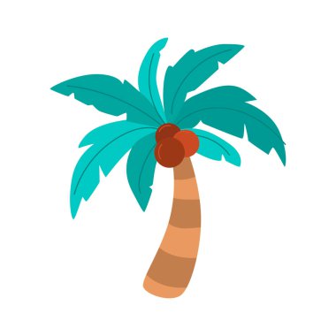 Hindistan cevizli palmiye ağacı. Beyaz arkaplanda simge