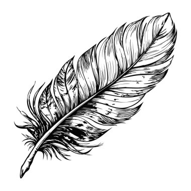 Karmaşık detaylara sahip tek bir tüy çizimi, beyaz arka planda.