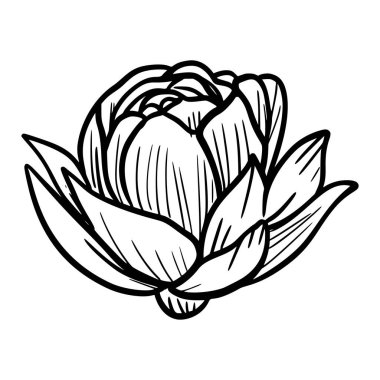 Beyaz arka planda bir çiçeğin eşkalini incele.