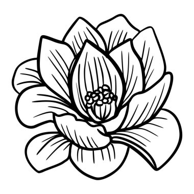 Beyaz arka planda bir çiçeğin eşkalini incele.