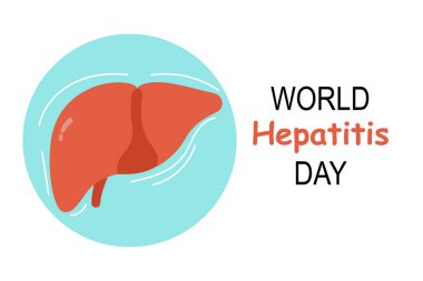Dünya Hepatit Günü. Sağlıklı karaciğer. Beyaz arkaplanda düz resimleme