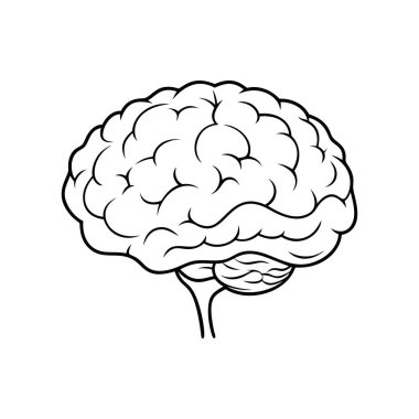 Beyin. İç organlar. Beyaz arkaplanda ikon. Bir satır