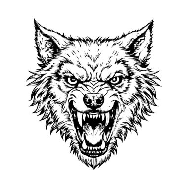 Çıplak dişleri ve yoğun gözleri olan hırıldayan bir kurt beyaz bir arka planda vahşi ve vahşi bir ifadeyi yakalıyor..