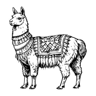 Lama tarafsız bir ifadeyle sakince duruyor.