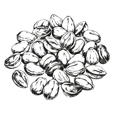 Bir avuç dolusu fıstık. Beyaz arka planda bira aperatifi