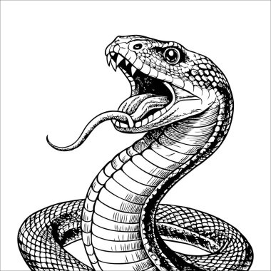 Ağzı açık bir yılanın siyah beyaz çizimi. Yılanın ağzından sarkan uzun bir dili var.