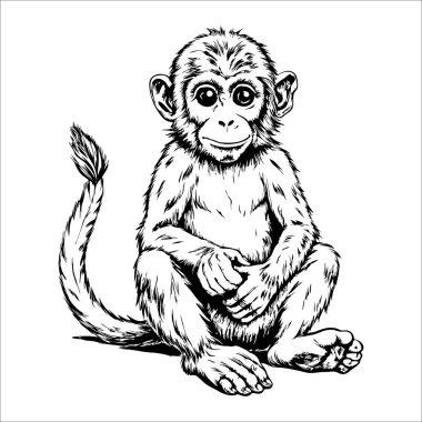 Şirin bebek maymun bacak bacak bacak üstüne atmış şekilde yerde oturuyor. Maymunun yüzünde kocaman bir gülümseme var ve gözleri sonuna kadar açık.