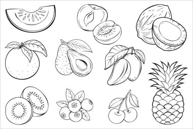 Elle çizilmiş tropikal ve mevsimsel meyvelerin toplanması siyah ve beyaz ana hatlar tarzında