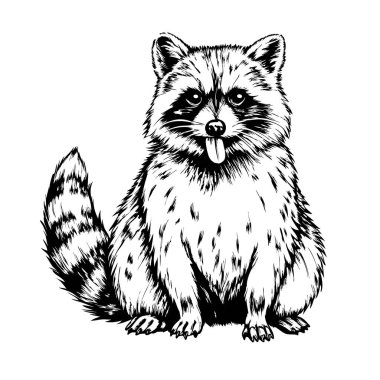 Oturan bir rakun, dilinde eski usul oymacılık tarzıyla.