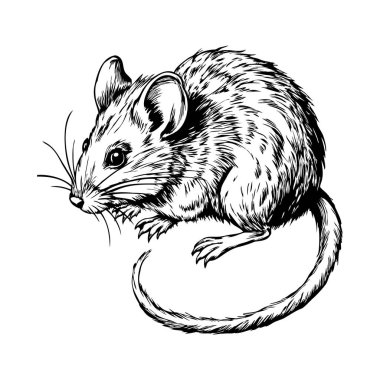Mürekkep stiliyle çizilmiş kıvrımlı bir fare