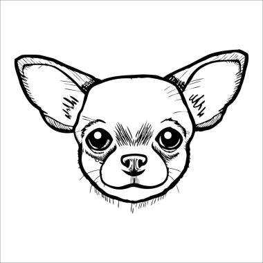Chihuahua köpek kafası tasviri. Çizimde büyük, anlamlı gözler ve belirgin kulaklar yer alıyor. Tarzı basit ve tek renkli, köpeklerin yüz hatlarını vurguluyor..