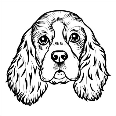 Uzun kulaklı ve anlamlı gözlü Cocker Spaniel köpeği tasviri. Köpeğin kendine has özelliklerini sergileyen dostane bir ifadesi ve tüylü bir paltosu var..