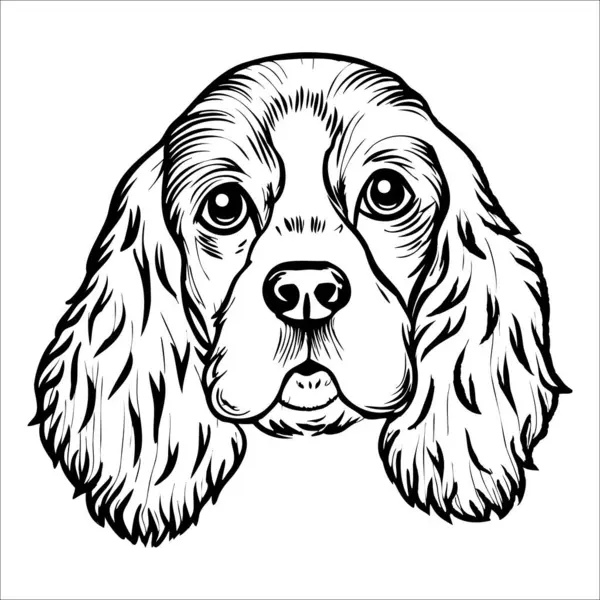 Uzun kulaklı ve anlamlı gözlü Cocker Spaniel köpeği tasviri. Köpeğin kendine has özelliklerini sergileyen dostane bir ifadesi ve tüylü bir paltosu var..