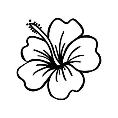 Beş taç yaprağı ve belirgin kekeme çiçeğinin siyah beyaz çizgisi..