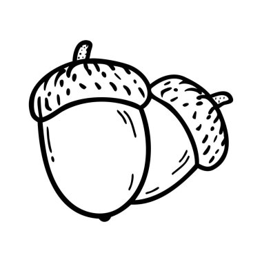 İki palamut, basit siyah beyaz bir şekilde resmedilmiş. Palamutlar yuvarlak ve pürüzsüz, doğal şekillerini ve dokularını sergiliyorlar..