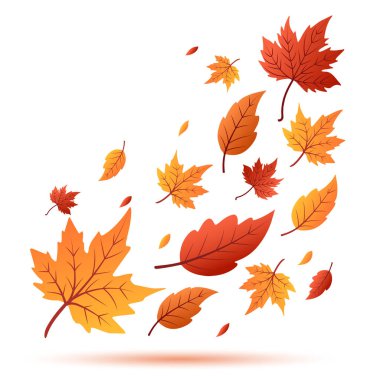 Beyaz arka planda yüzen çeşitli şekil ve boyutlarda renkli sonbahar yaprakları. Yapraklar turuncu, sarı ve kırmızı tonlarını gösteriyor, düşüşü simgeliyor..