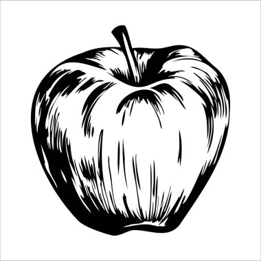 Olgun bir elmanın detaylı siyah beyaz çizimi. Elmanın düz bir yüzeyi ve yuvarlak şeklini ve doğal dokusunu gösteren kısa bir gövdesi vardır..