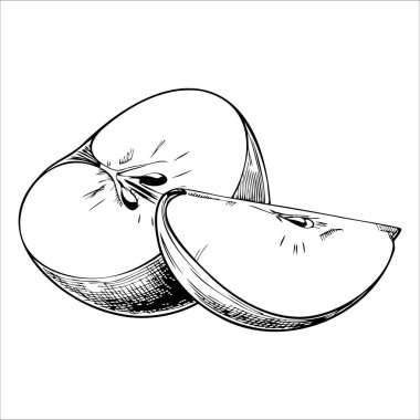 İki dilimlenmiş elma, bir tam ve bir de ikiye bölünmüş, iç kısımları sergileniyor. İllüstrasyon meyve dokusunu ve tohumları vurguluyor.