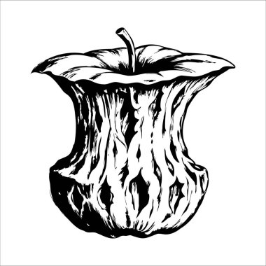 Kısmen yenmiş bir elma çekirdeğinin siyah beyaz çizimi. Çekirdeğin detaylı bir dokusu ve en üstte minimalist bir tasarımı gösteren bir yaprağı var..