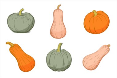 Değişik şekil ve renklerde altı balkabağı koleksiyonu. Yeşil, turuncu ve solgun çeşitleri içerir. Sonbahar temaları ve hasat kutlamaları için ideal.