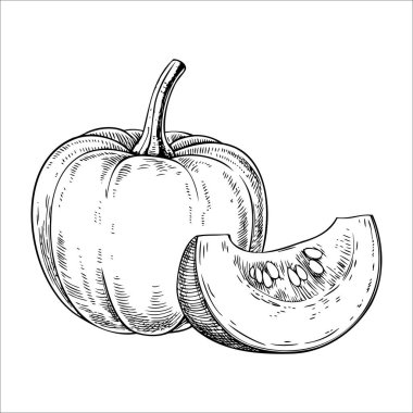 Bir balkabağı ve bir dilim balkabağı çizimi. Balkabağı bir gövde ile yuvarlaktır, ve dilim tohumları ve dokuyu gösterir..