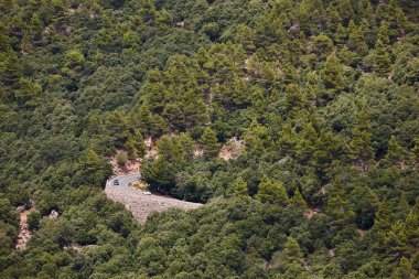 Mallorca adasında ormanla çevrili dolambaçlı bir yol. İspanya