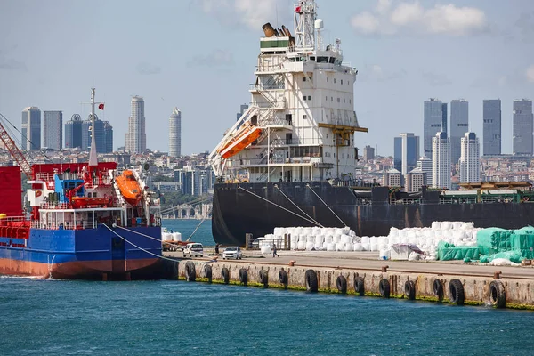 Cranes Comercial Seaport Bosphorus Strait Istanbul Turkey — 图库照片