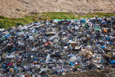 Açık hava çöplüğü. Plastik kirliliği. Çöpleri geri dönüştürüyorum. Tüketim