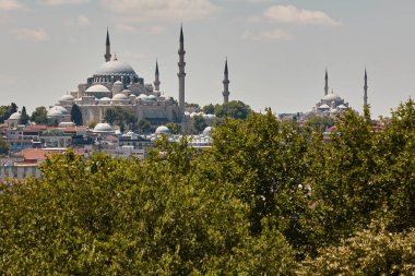 İstanbul 'daki Süleyman ve Fatih camii. Türk tarihi eserleri