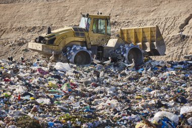 Heavy machinery shredding garbage in an open air landfill. Waste