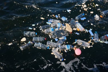 Plastik şişeler denizde. Çöp ve kirlilik. Çevre sorunları