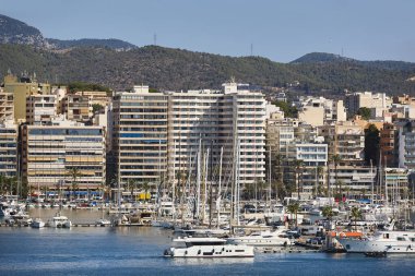 Palma de Mallorca marina and mountain. Balearic islands. Tourism Spain