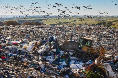 Heavy machinery shredding garbage in an open air landfill. Waste