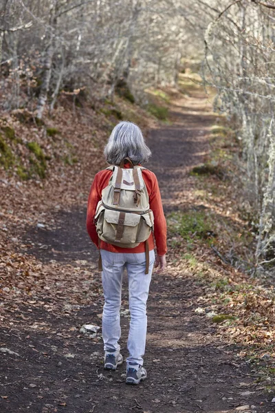 Woman walking in the woods. Healthy lifestyle. Trekking and hikking