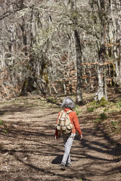 Woman walking in the woods. Healthy lifestyle. Trekking and hiking