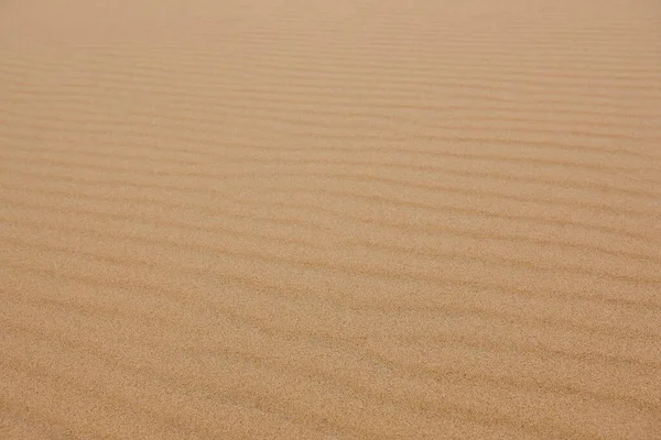 Sanddyn Vid Solnedgången Naturlandskap Desert Texturerad Bakgrund — Stockfoto