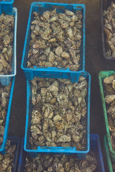 Arcachon湾的牡蛎养殖场法国阿基坦的熟食海鲜 — 图库照片