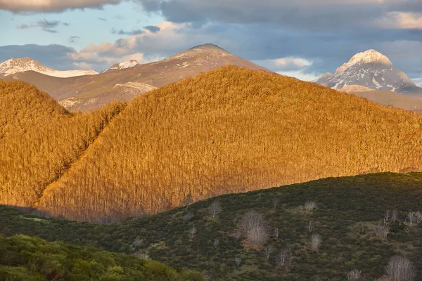 Kışın Ormandaki Dağ Manzarası Castilla Leon Spanya — Stok fotoğraf