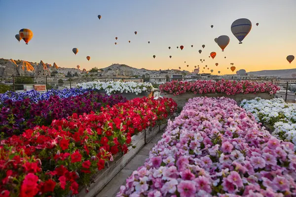 Spectacular Balloons Flying Sunrise Goreme Valley Cappadocia Turkey — Stock Fotó