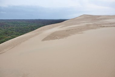 Arcachon havzasında Pilat kum tepesi ve yeşil orman. Aquitaine, Fransa