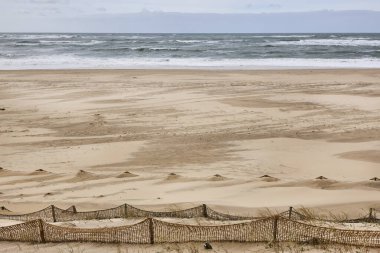 Arcachon körfezi kumsalı. Gelincik Burnu. Atlantik Okyanusu, Aquitaine. Fransa 