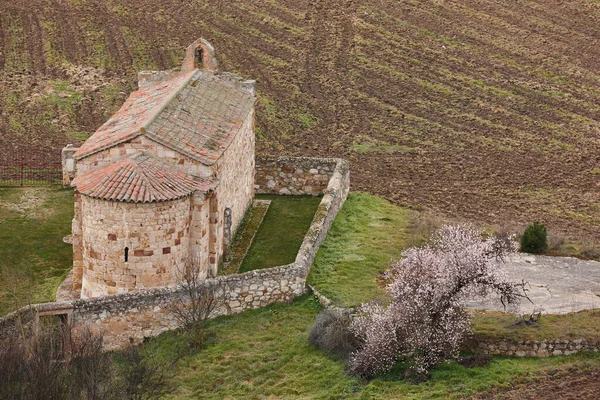 Capilla Medieval Santiago Viejo Zamora Castilla León España —  Fotos de Stock