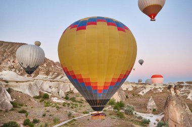 Balloons in rose valley, Cappadocia. Spectacular flight in Goreme. Turkey