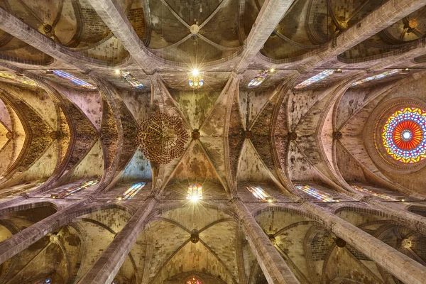 Palma Mallorca Tetto Della Cattedrale Rosone Patrimonio Spagnolo — Foto Stock