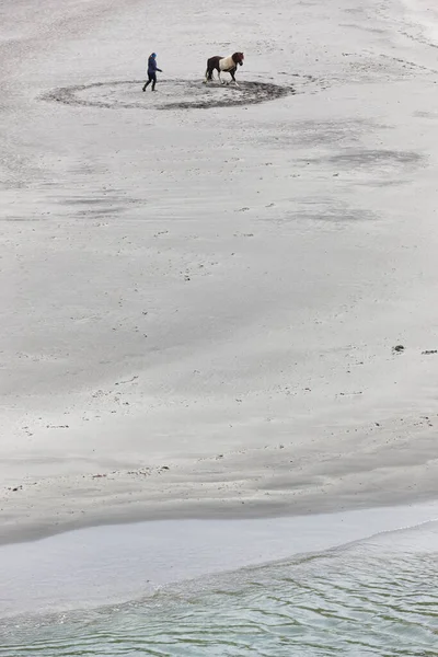Тренировка Лошади Песчаном Пляже Конный Спорт Фарерские Острова — стоковое фото