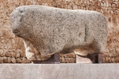 Boğa granit taş heykel. Demir bronz çağı. Toro, Zamora. İspanya