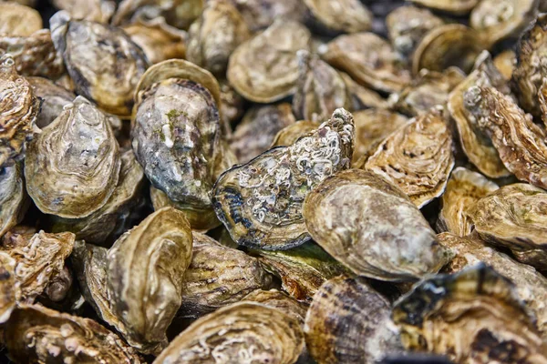 アーカコン湾の牡蠣 デリカテッセンは アキテーヌの食品を参照してください フランス — ストック写真