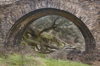 Alagon Nehri 'ndeki antik taş köprü. Sotoserrano, Salamanca. İspanya